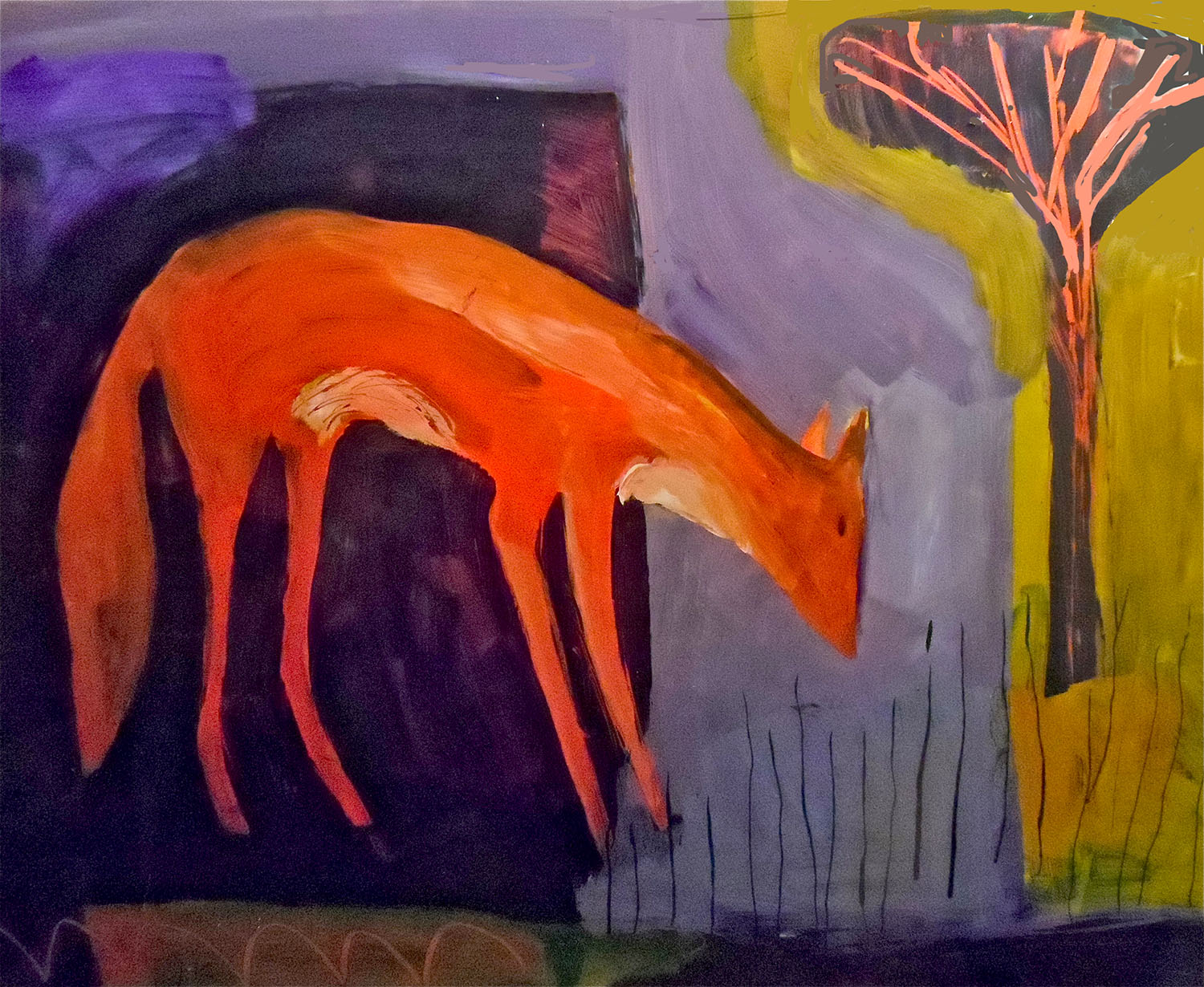 red fox